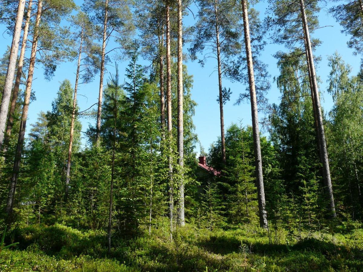 Good Life Homestay Ahmovaara Eksteriør bilde